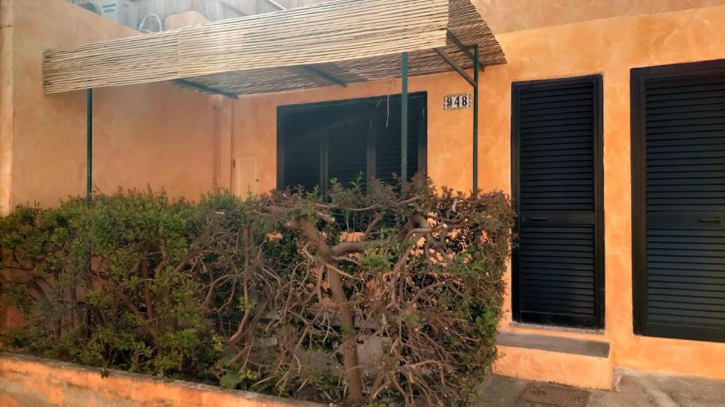 una casa con due finestre e una pianta davanti di bungalow in Sardegna a Costa Rei