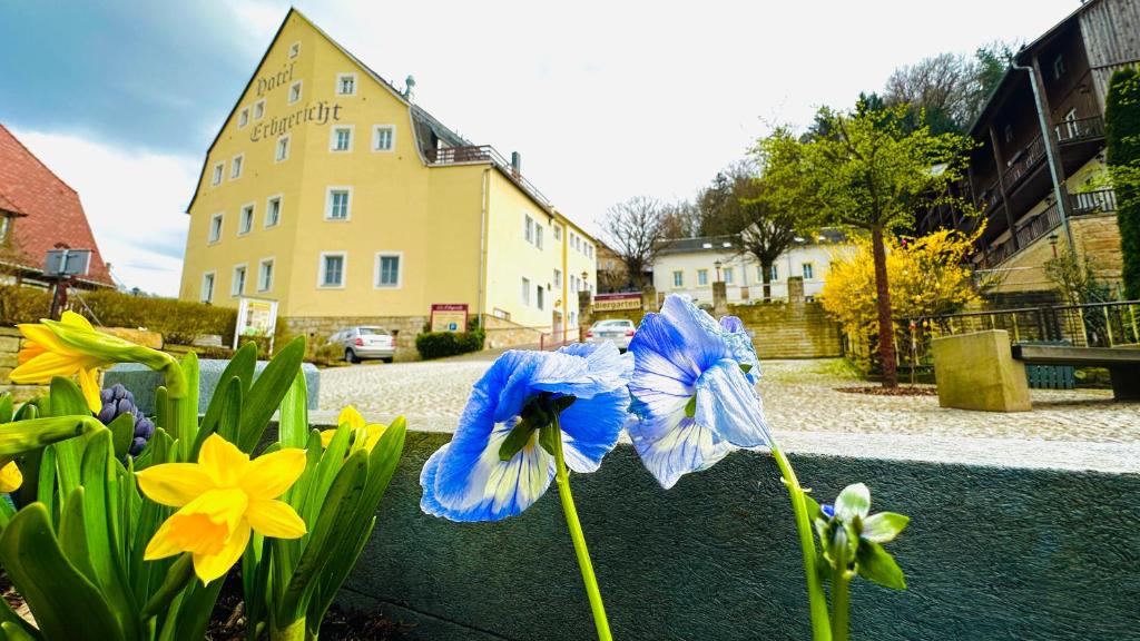 un grupo de flores azules frente a un edificio en Hotel Erbgericht en Bad Schandau