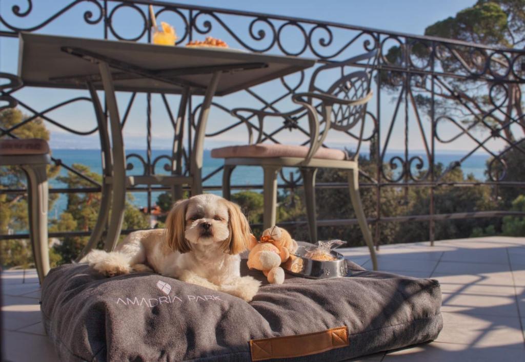 Amadria Park Hotel Agava - Resim 12