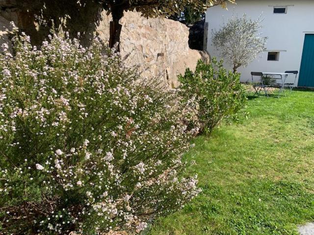 Chambre d'Hôtes Les Petits Oiseaux - Doppelzimmer Mit Gartenblick