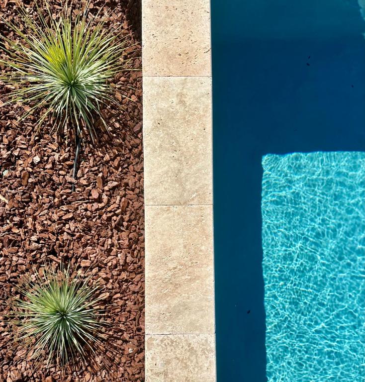 two photos of a swimming pool and a plant at Villas de standing avec magnifique vue mer et piscines privées, Sagone in Sagone