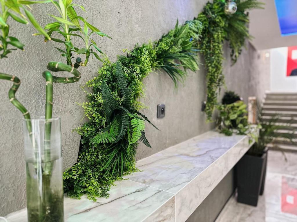 Hotel AMITY - Resim 40