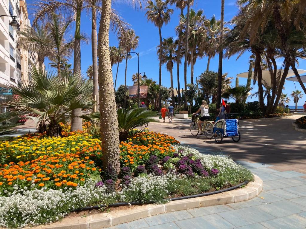 Bellavista Costa del Sol, Estepona – Precios actualizados 2023