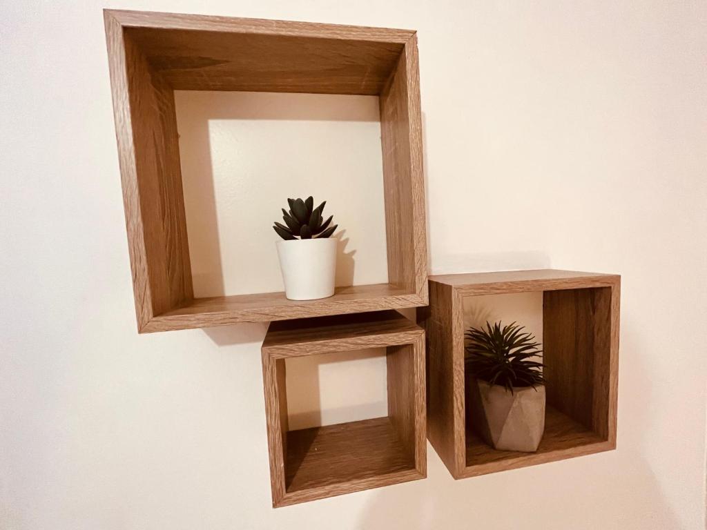 a wooden shelf with two potted plants on a wall at Appartement Prestige - Amiens in Amiens
