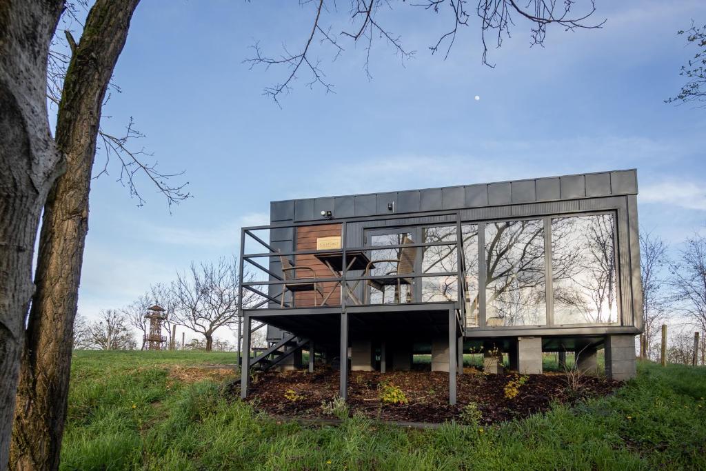 a glass house on a hill with a tree at Stüble Kabinok in Somogyhárságy