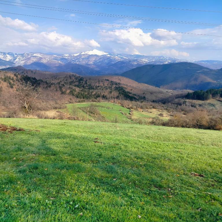 Priroda u blizini vikendice