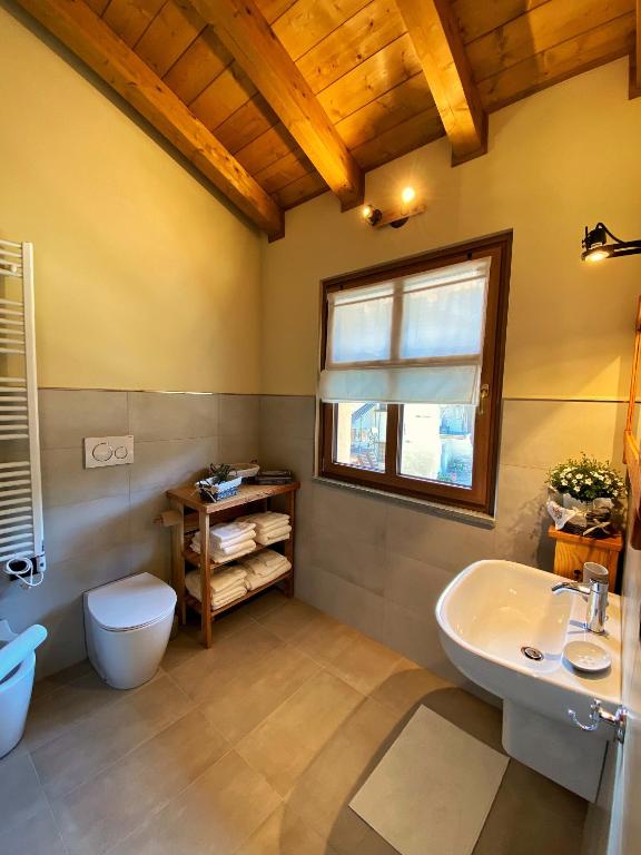 a bathroom with a sink and a toilet and a window at Ranch Enbrucà in Boves