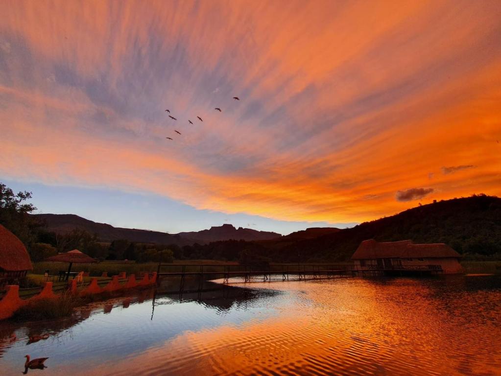 een zwerm vogels die bij zonsondergang over een rivier vliegen bij Dragon Peaks Mountain Resort in Champagne Valley