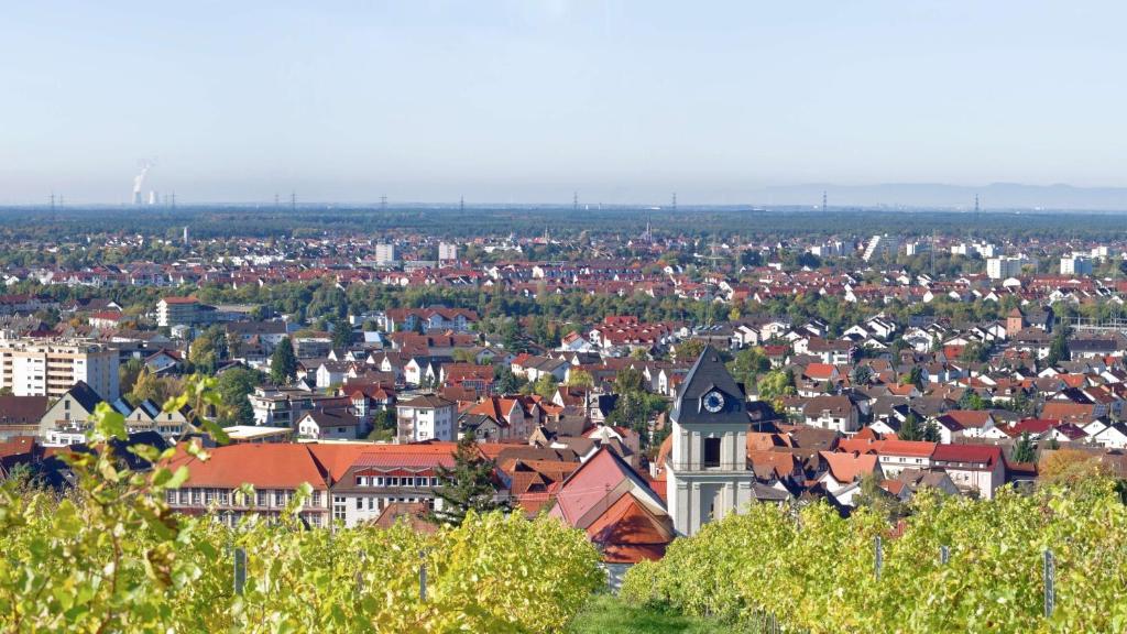- une vue sur une ville dotée d'une tour de l'horloge dans l'établissement Große Ferienwohnung, Apartment in Leimen WeHome Komfort, à Leimen