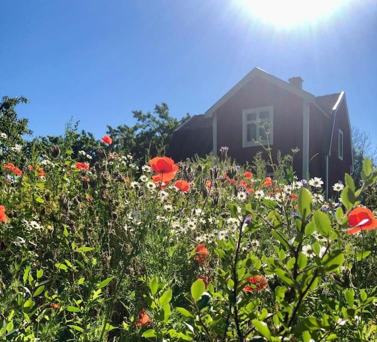 a house with a field of red and white flowers at original Schwedenhaus in Borghamn
