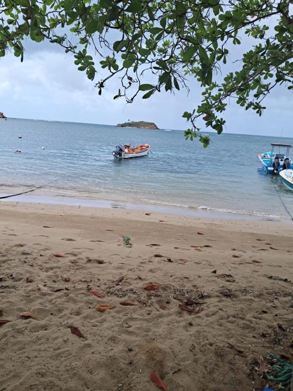 dos barcos en el agua en una playa en Maison tartanaise, en La Trinité