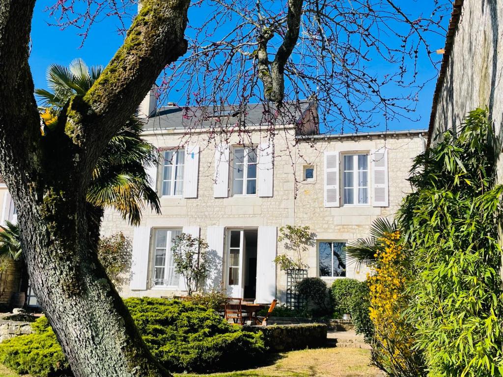a white house with a tree in front of it at Maison de charme de 280m2 avec piscine chauffée … in Luçon