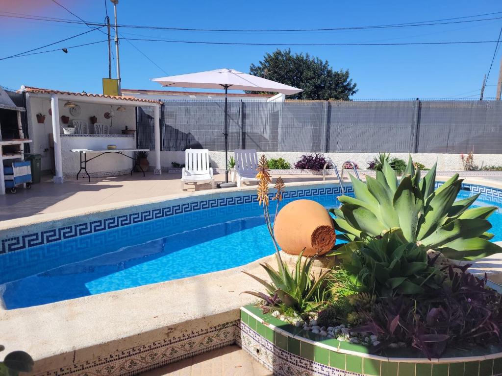 una piscina con plantas en un patio en Casa Rural El Cornijal - Piscina Privada en San Javier