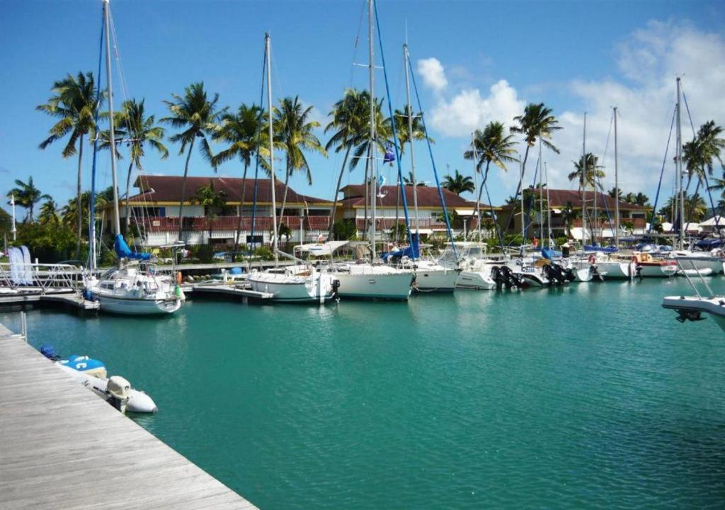 a group of boats docked in a marina with palm trees at Maison Agréable Familiale in Saint-François