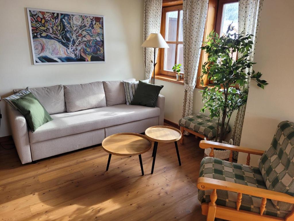 巴德小基希海姆的住宿－Appartement Liisa Bad Kleinkirchheim，客厅配有沙发和2张桌子