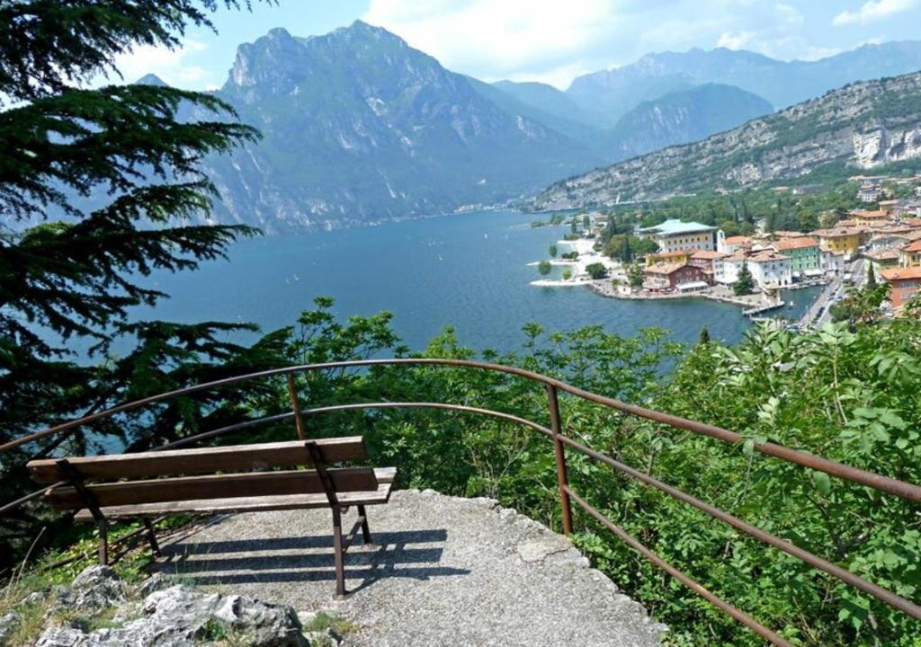 a bench sitting on a hill overlooking a body of water at Casa Zanoni in Nago-Torbole