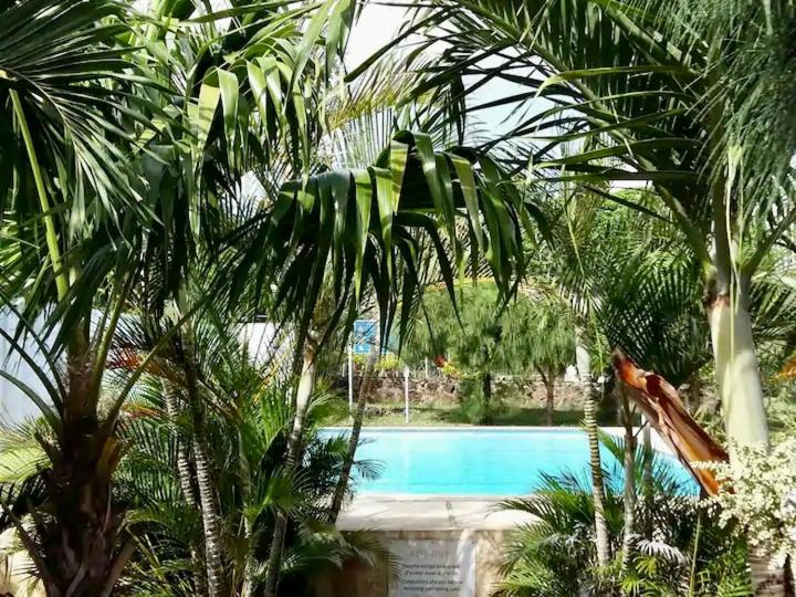 a swimming pool with palm trees in front of it at Fleury Sur Mer Trou aux Biches in Trou aux Biches