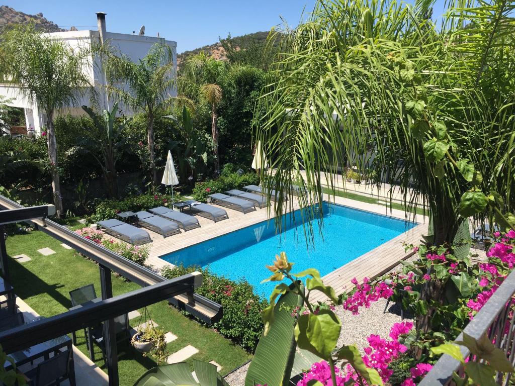 a swimming pool with chaise lounge chairs in a garden at Villa Oliva Butik Hotel in Bodrum City