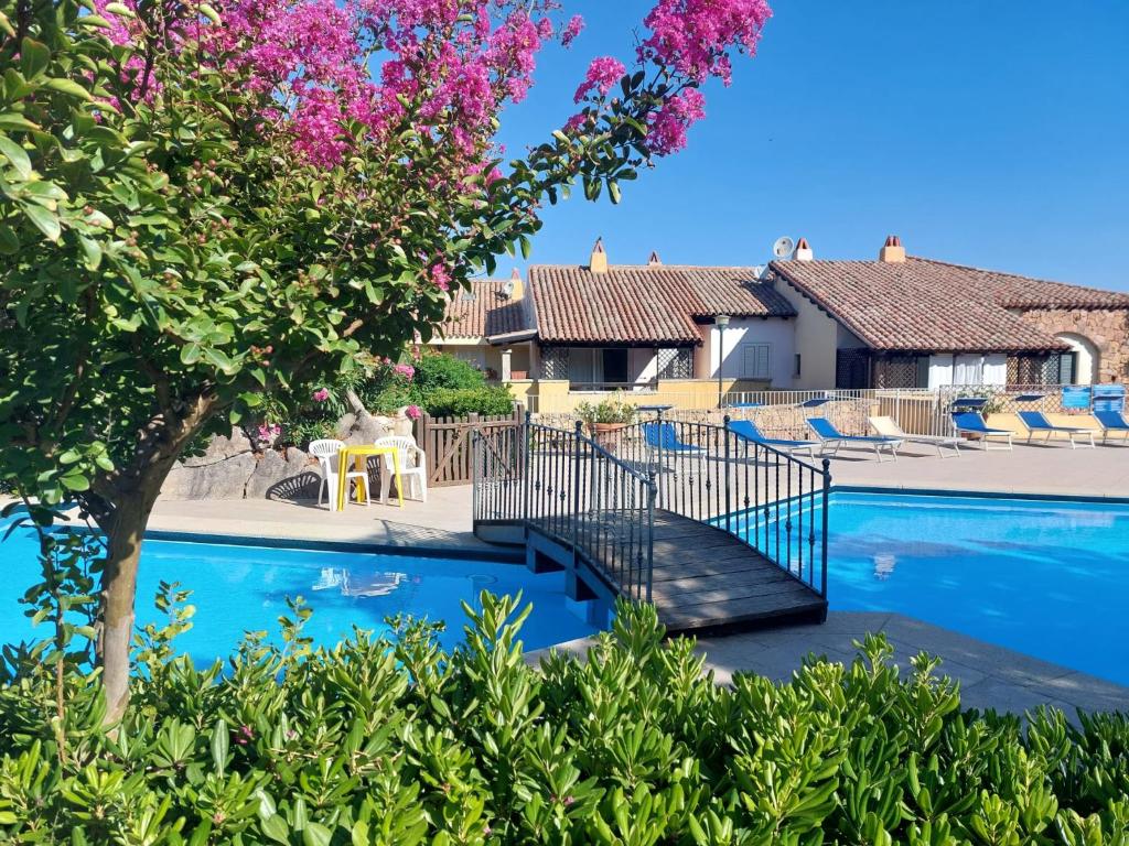 una villa con piscina e albero di Casetta Bouganville a Porto Rotondo