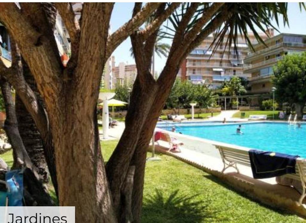 Habitaciones en casas particulares Apartamento en la Playa San Juan Benancantil en Alicante, Comunidad Valenciana