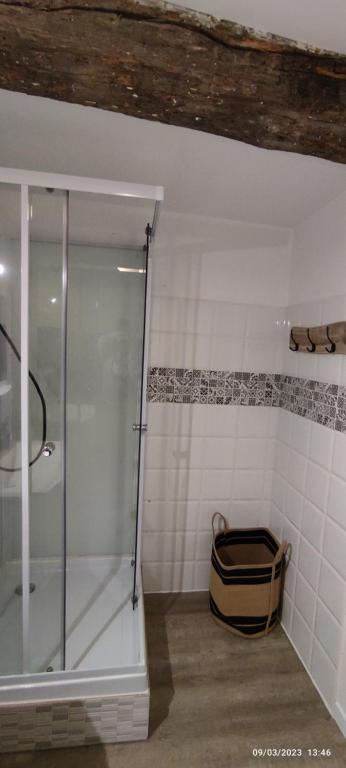 baño con ducha y puerta de cristal en Le cocoon de Christelle, en Montredon