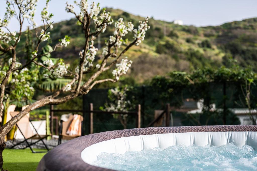 una fontana in un tavolo con un albero di Casa rural Bejeque a Teror