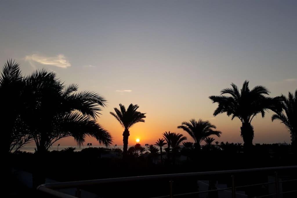 a sunset with palm trees in the foreground at Appartement vue mer in Mahdia