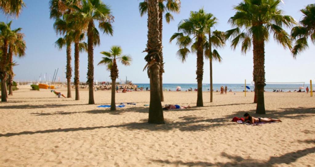 una playa con palmeras y gente en la arena en Apartamento Lauren Salou, en Salou