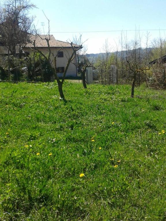 Vonkajšia záhrada v ubytovaní Myricae