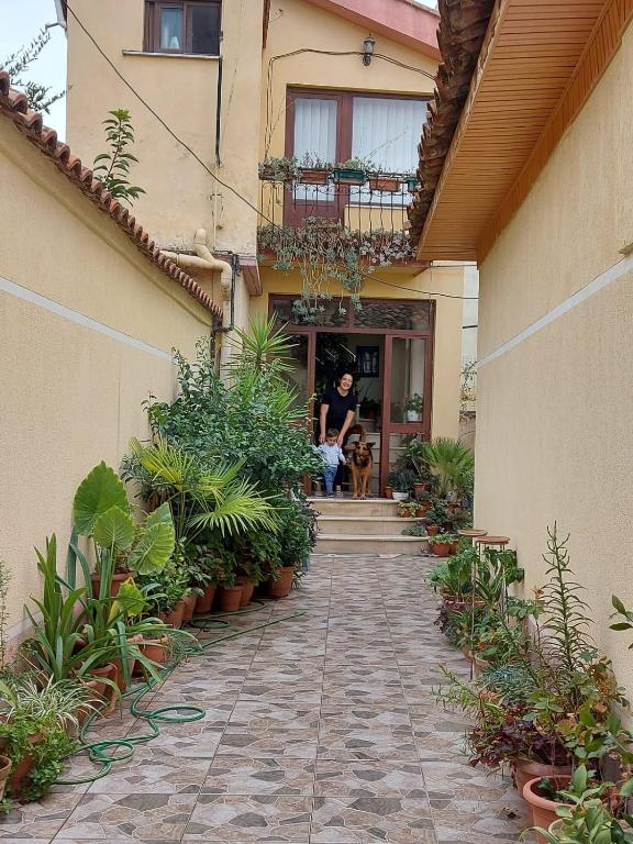 Zahrada ubytování Vila Kodra