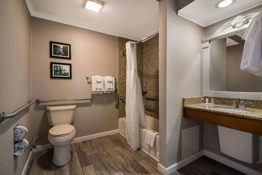 Koupelna v ubytování Comfort Inn & Suites Plattsburgh - Morrisonville