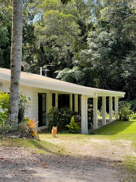 a cat standing in front of a house at Botanica House Kuranda in Kuranda