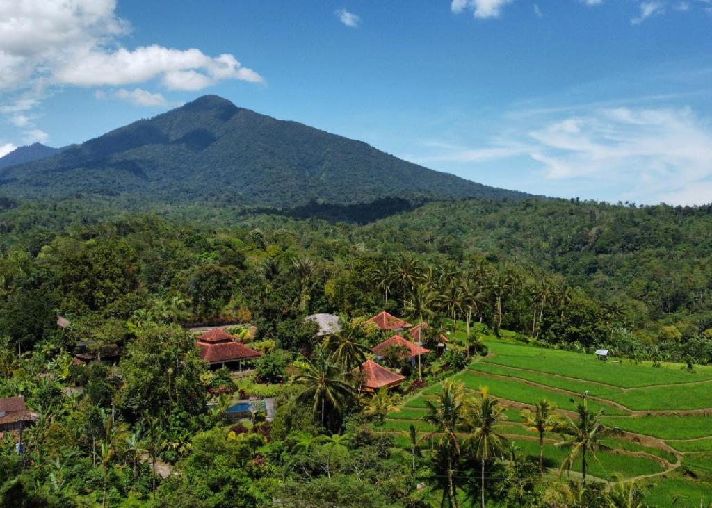 eine Luftansicht eines Resorts mit einem Berg im Hintergrund in der Unterkunft Sava Eco Retreat in Padangan
