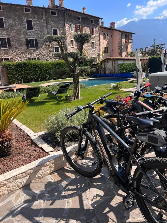 Jízda na kole v ubytování Hotel Canarino nebo okolí