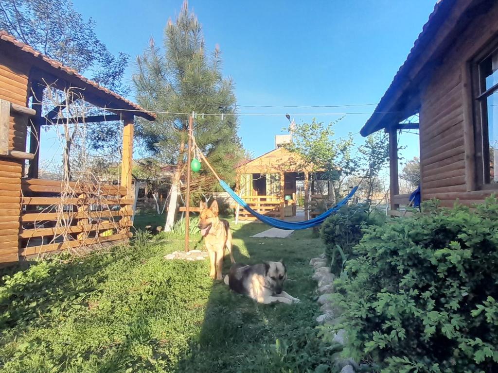 Zahrada ubytování Tiny houses Genacvale