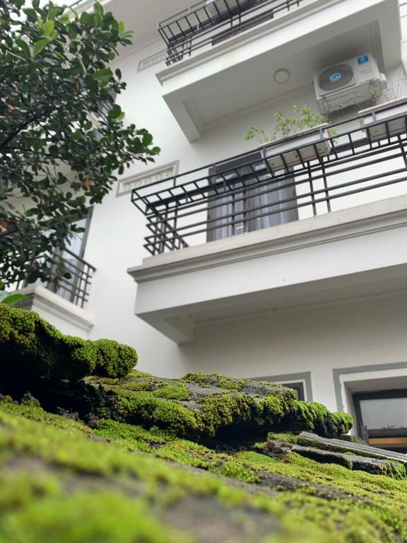 Tam Coc Catalina Hotel By ANMS GROUP - 4