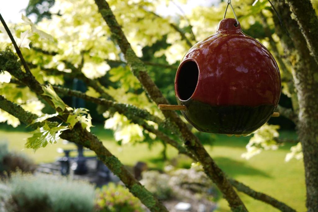 Fotografie z fotogalerie ubytování Applecroft House v destinaci Killarney