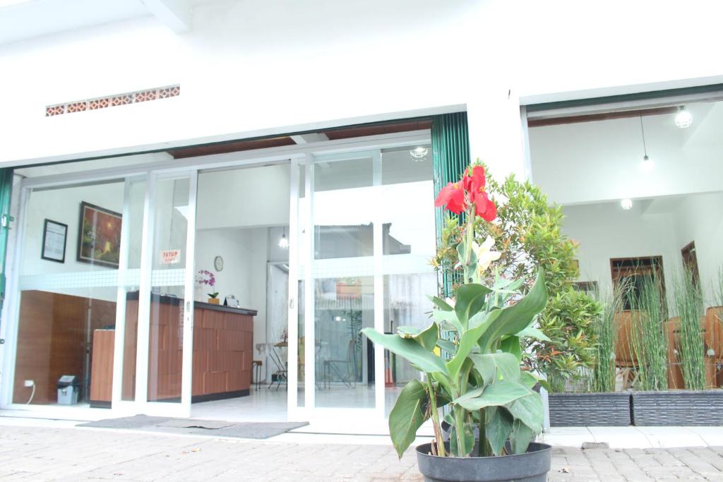une plante dans un pot devant un bâtiment dans l'établissement Rumah Syariah Bugenvil, à Bandung