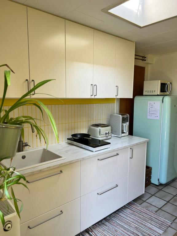 Dapur atau dapur kecil di Askes Oase Guest Apartment