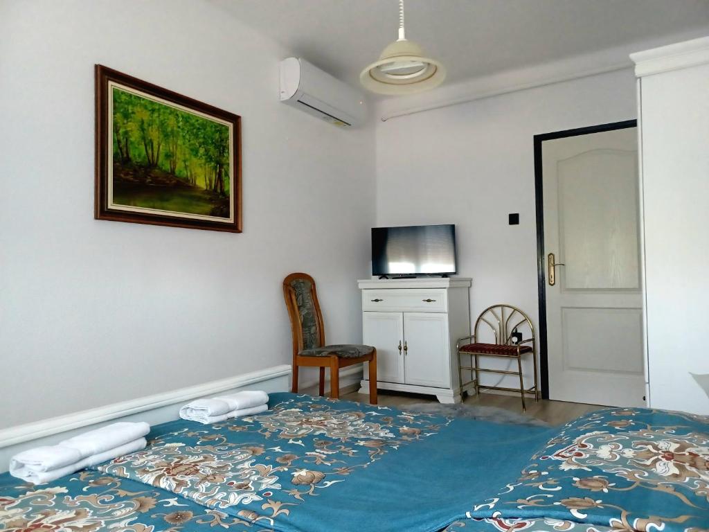 a bedroom with a bed and a tv and a chair at Erika Apartman in Tihany