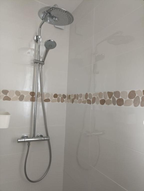 La salle de bains est pourvue d&#39;une douche avec un pommeau de douche. dans l&#39;établissement Spacious apartment in the heart of Narbonne Plage, à Narbonne