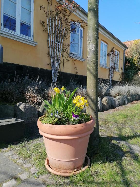 a large pot of flowers in front of a house at Femmasteren Hotel & Hostel in Marstal