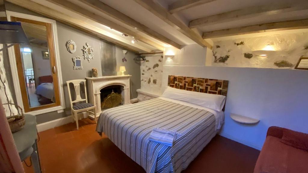 1 dormitorio con 1 cama y chimenea en Atardecer en Gredos 2, en San Bartolomé de Tormes