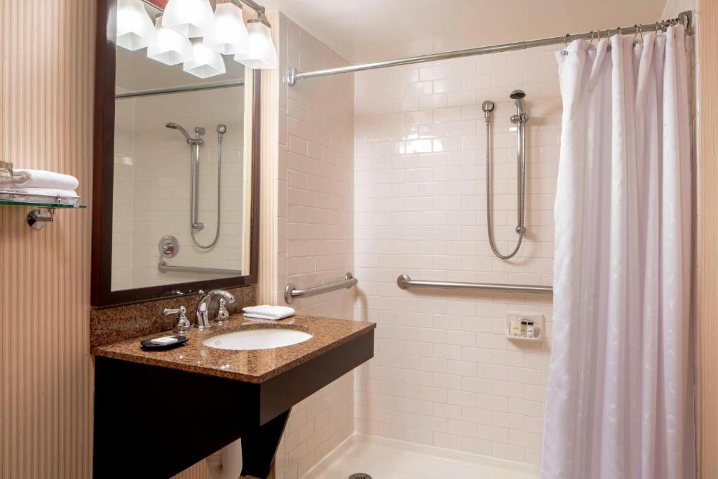 Sheraton Houston Brookhollow - Traditionele, Conciërge Lounge Toegang, Logeerkamer, 1 Koning