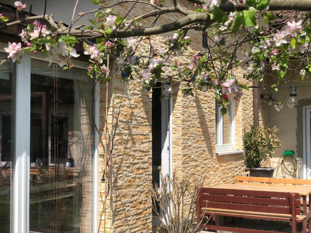 Fotografie z fotogalerie ubytování Apartmán Marmeláda v destinaci Čtyřkoly