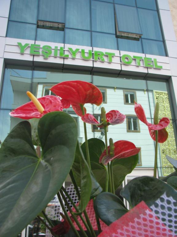 een plant met rode bloemen voor een gebouw bij Yeşilyurt otel in Antalya