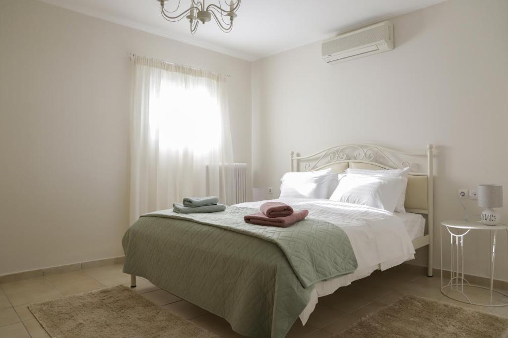 Perfect home for Relaxing - 7