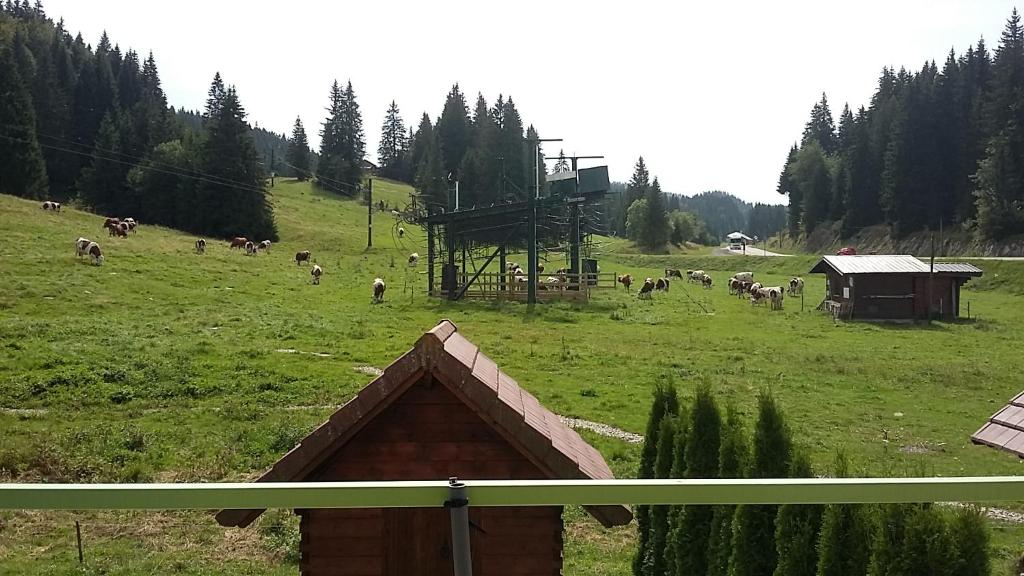 Príroda v okolí apartmánu
