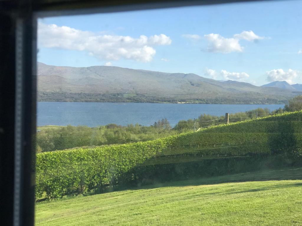 Moriarty’s, Kenmare Updated 2024 Prices