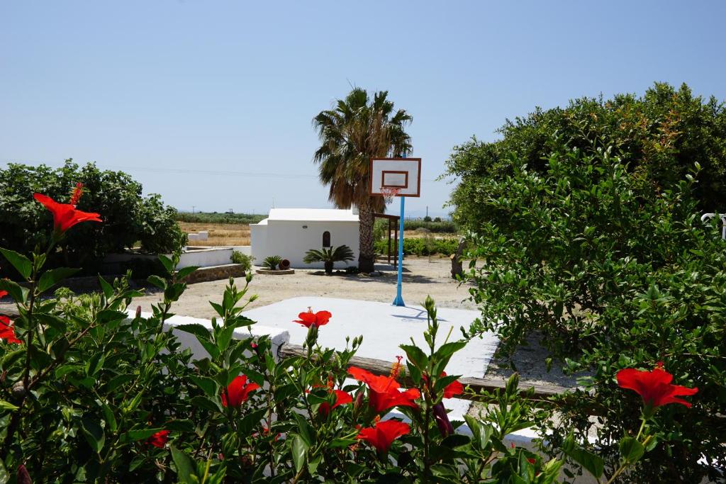 Zahrada ubytování Zanneta Apartments & Suites
